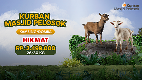 Kurban Kambing Hikmat