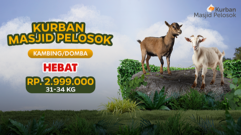 Kurban Kambing Hebat